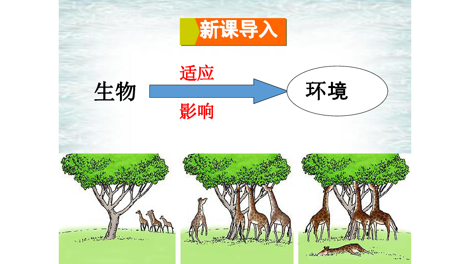 人教版初中生物七年级上册第一单元 第二章 第一节 生物与环境的关系  课件（28张PPT）