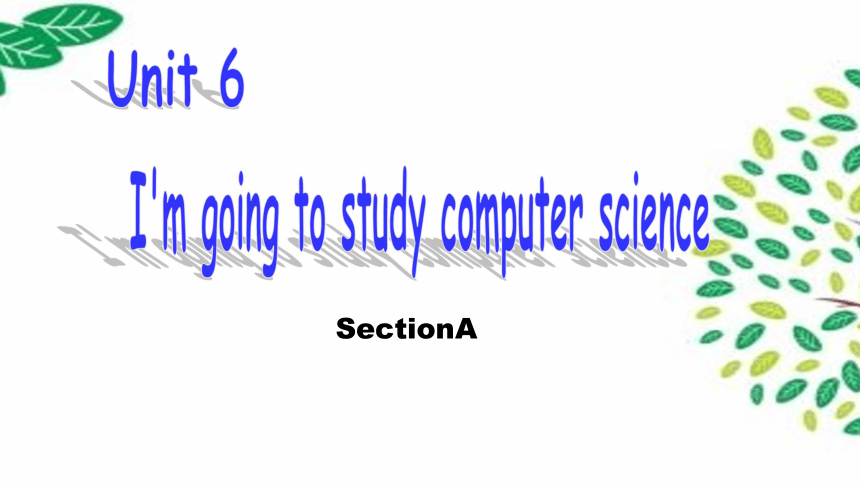 Unit 6 I’m going to study computer science.SectionA  period1 课件