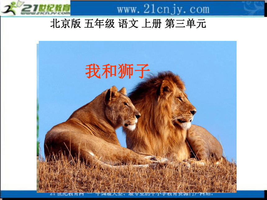 五年级语文上册课件 我和狮子 1（北京版）