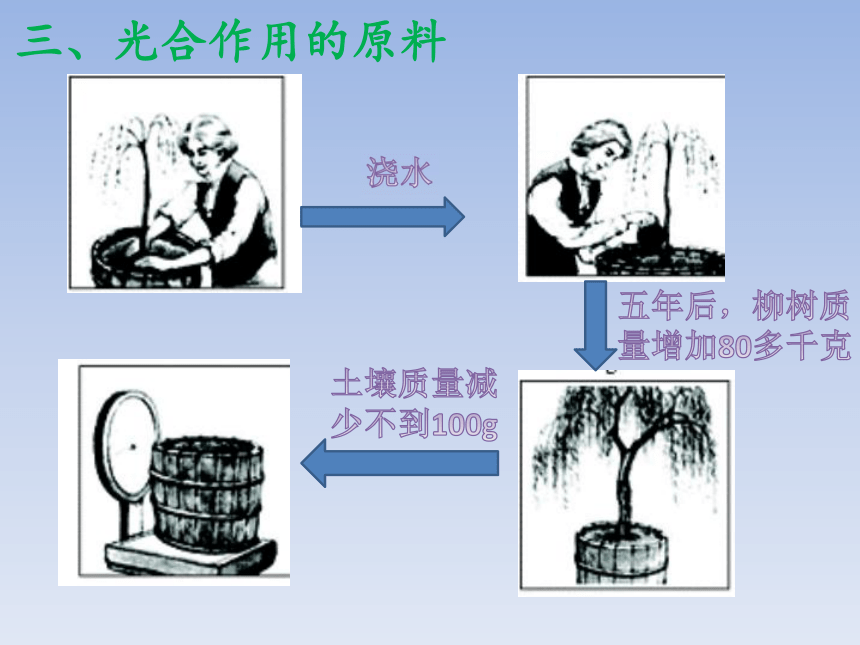 2018届中考生物复习课件：绿色植物的光合作用和呼吸作用(共33张PPT)