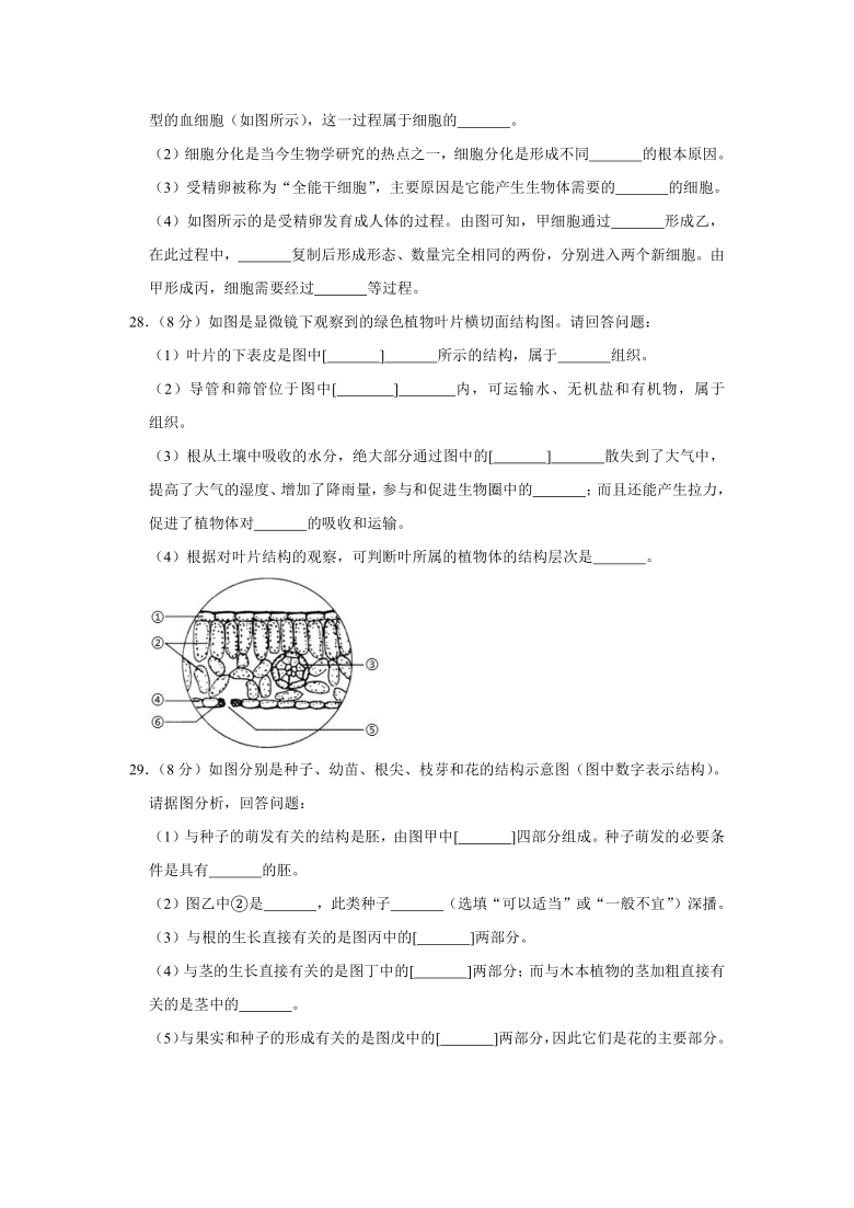 2020-2021学年辽宁省鞍山市七年级（上）期末生物试卷（word版含解析）