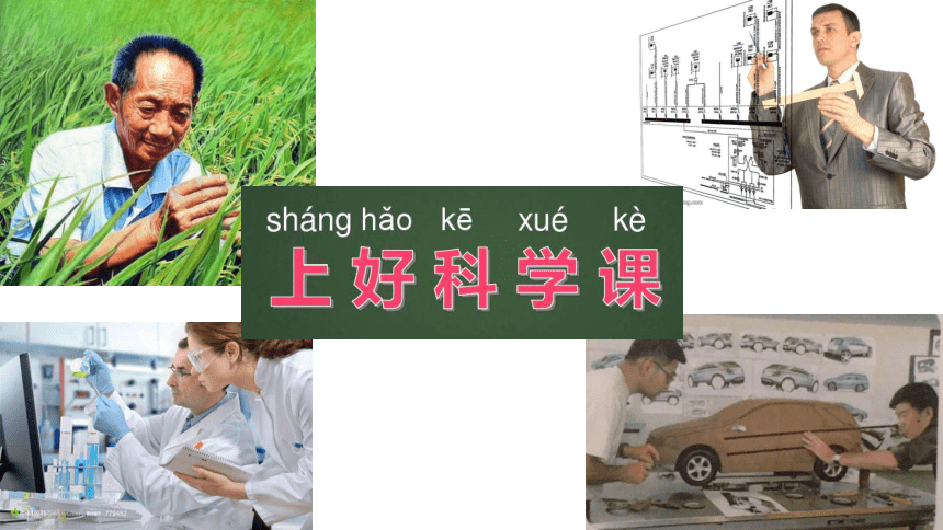 课件预览
