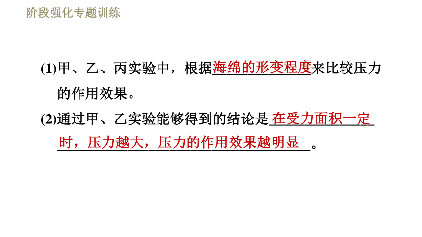 沪粤版八年级下册物理习题课件 第8章 阶段强化专题训练（四） 专训2  压强的探究（31张）