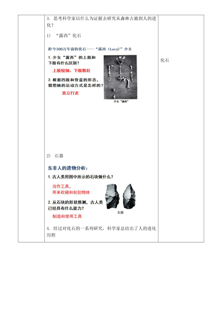 2020-2021学年人教版七年级生物下册   4.1.1 人类的起源和发展 教案