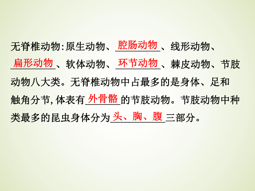 浙教版九年级科学中考复习课件：生物和构成生物的结构层次