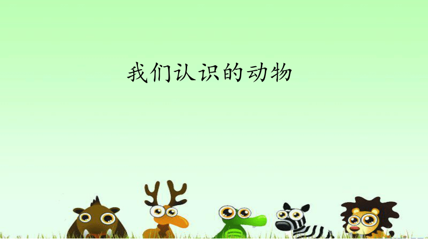 课件预览