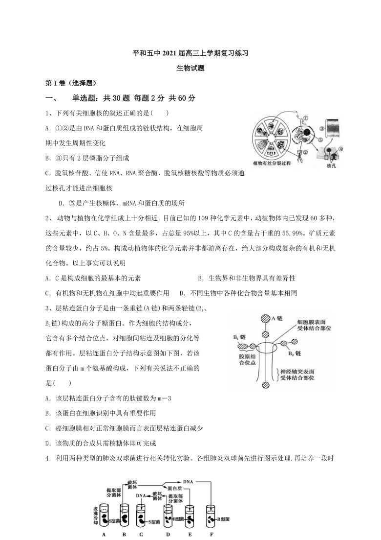 福建省平和五中2021届高三上学期复习练习生物试题