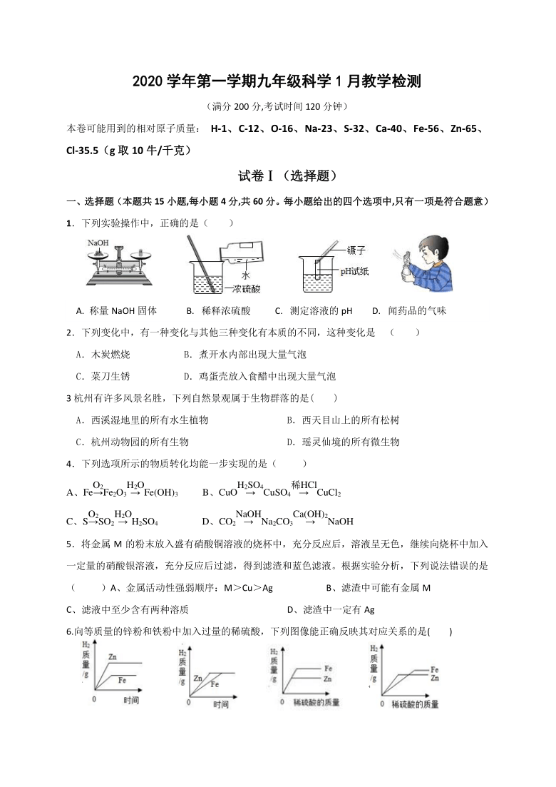 浙江省绍兴市柯桥区联盟校2021届九年级 1月独立作业 科学试题（Word版，含答案）