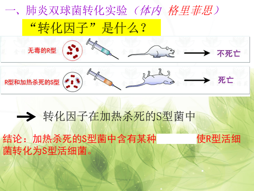 高中生物人教版必修2第三章第1节 DNA是主要的遗传物质   课件(29张ppt)