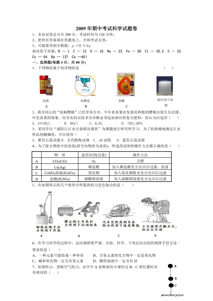 2009年期中考试科学试题卷