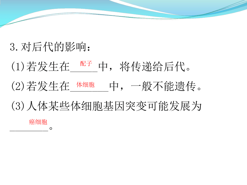 2 基因突變和基因重組 課件(共24張ppt)-21世紀教育網