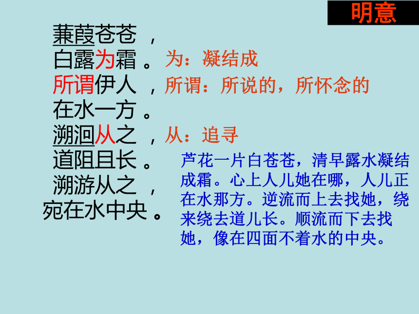蒹葭课件共33张ppt