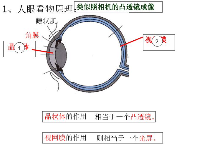 沪粤版八年级上册物理  3.7 眼镜与光学仪器 课件(20张PPT)