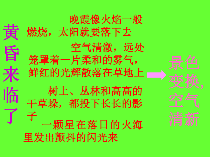 语文北师大版必修四1.2《树林和草原》课件（37张）