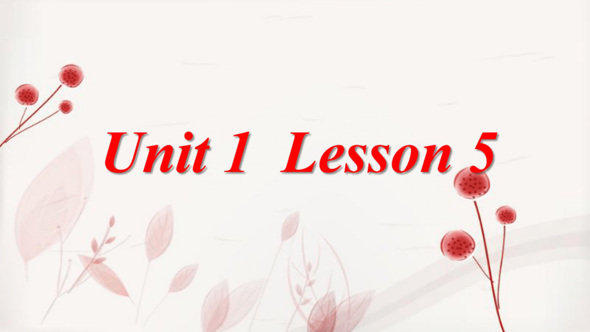 Unit 1 The long vowel sounds LESSON 5 课 (共16张PPT)