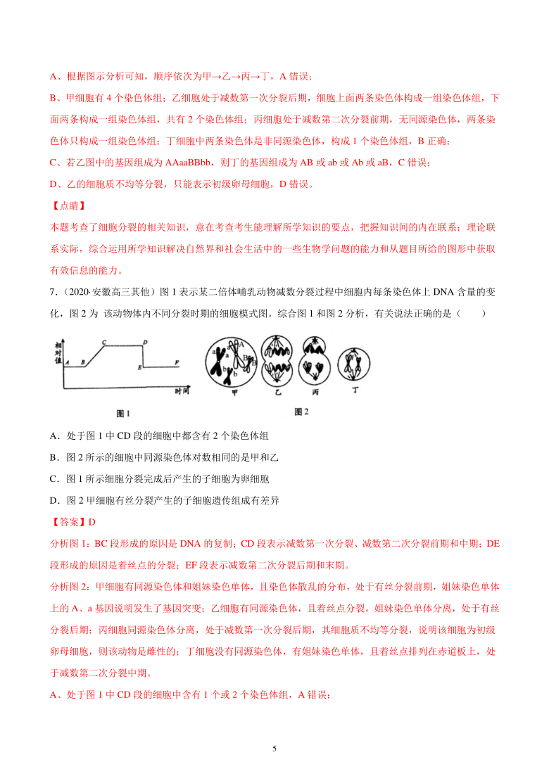 高三生物新题专项汇编：考点09 遗传的细胞基础（解析版）