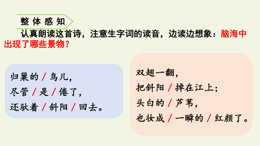 3現代詩二首秋晚的江上課件共23張ppt