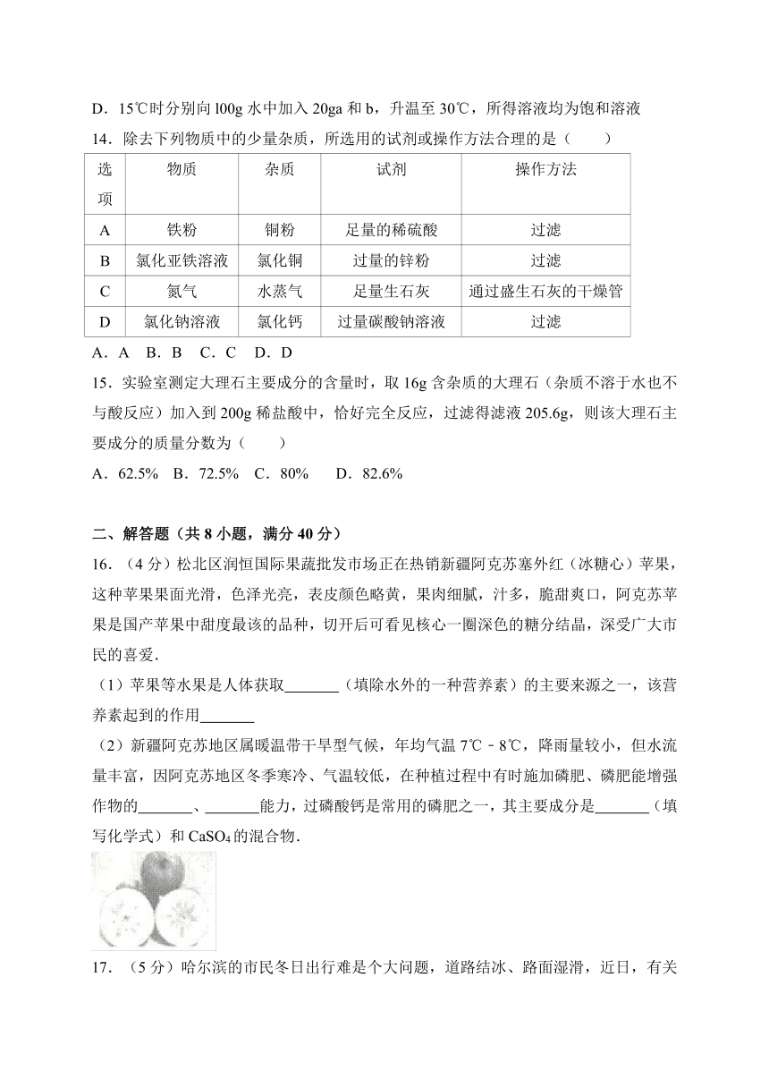 黑龙江省哈尔滨市松北区2017-2018学年九年级上学期期末考试化学试卷（解析版）