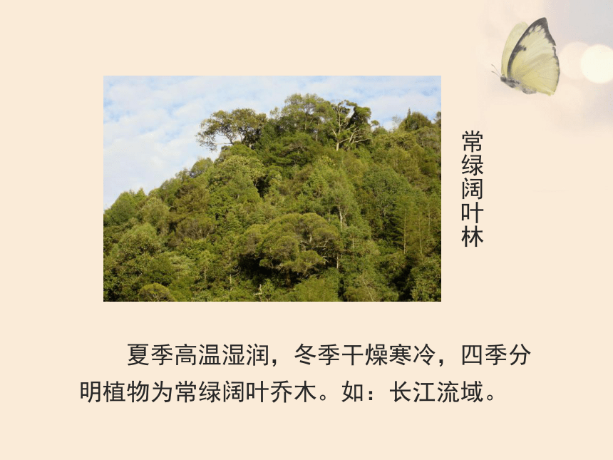 人教版七年级生物上册3.6爱护植被 绿化祖国（共26张PPT）