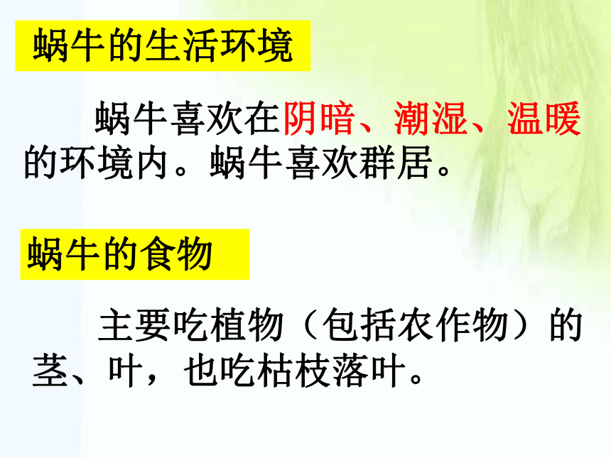 浙教版七年级上册科学2-1：生物与非生物 (1)(课件 36张ppt)