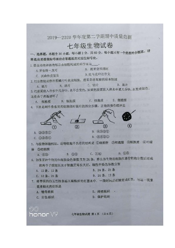 2019--2020学年度第二学期期中质量自测七年级生物试题（首发）（图片版无答案）