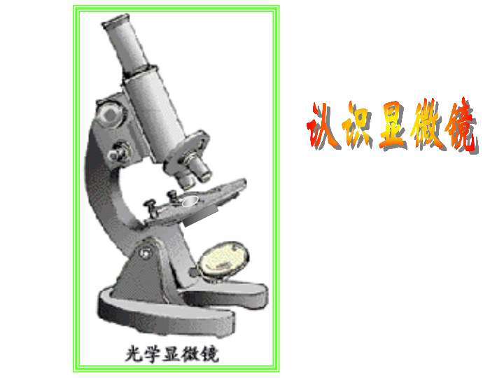 人教版七年级生物上册第2单元第1章第1节练习使用显微镜课件（ 共51张PPT）