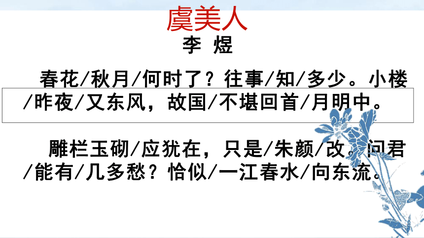 虞美人相关资料图片