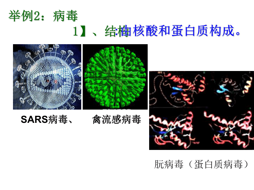 人教版选修1专题2课题1微生物的实验室培养（共72张PPT）