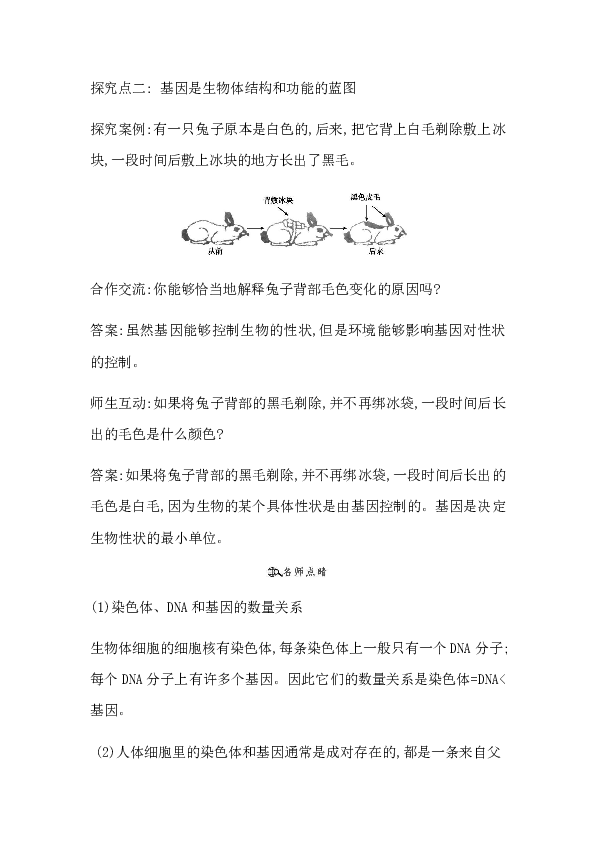 20.2 性状遗传的物质基础 导学案（含答案）