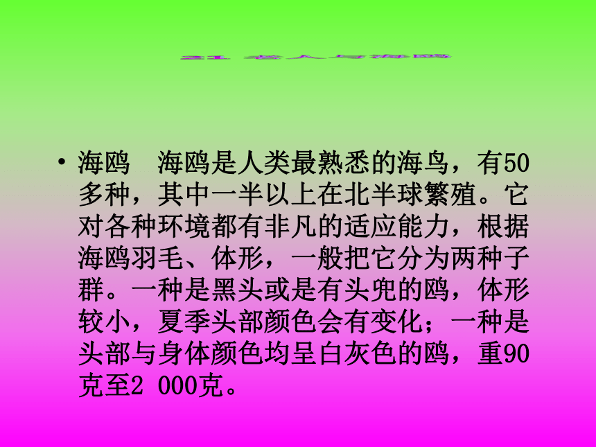 语文七年级下人教版（新疆专用）4.20《老人与海鸥》课件（62张）