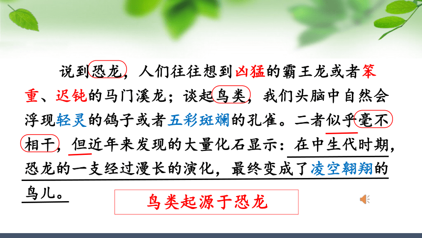 6飛向藍天的恐龍第一課時課件共40張ppt