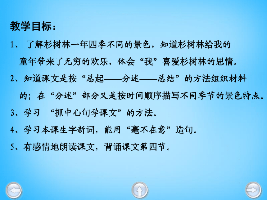 五年级上语文课件（C）-快乐的杉树林沪教版