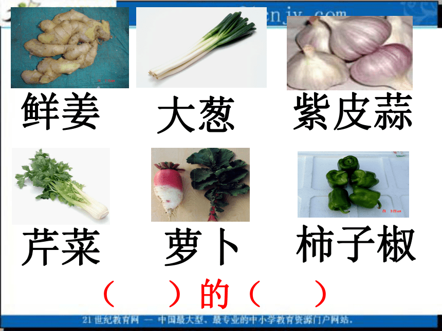 二年级语文上册课件 蔬菜营养丰富（北京版）