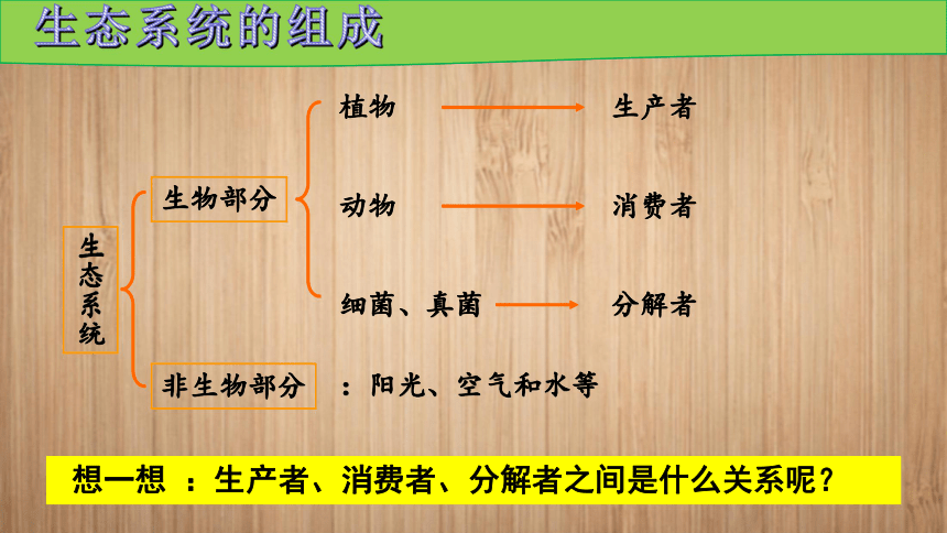 初中生物人教版（新课程标准）七年级上册1.2.2生物与环境组成生态系统课件（30张PPT）