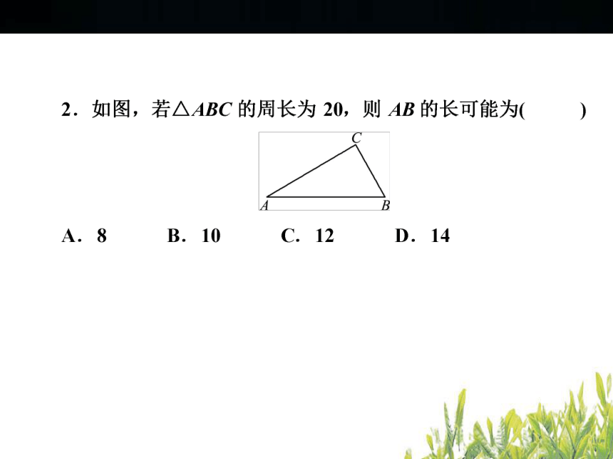 2018年浙江中考数学复习图形的认识与三角形 小自测（46张PPT）