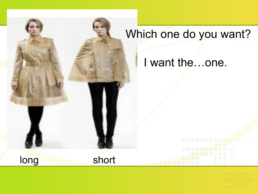 Unit6 Which one do you want 第一课时课件 (共17张PPT)