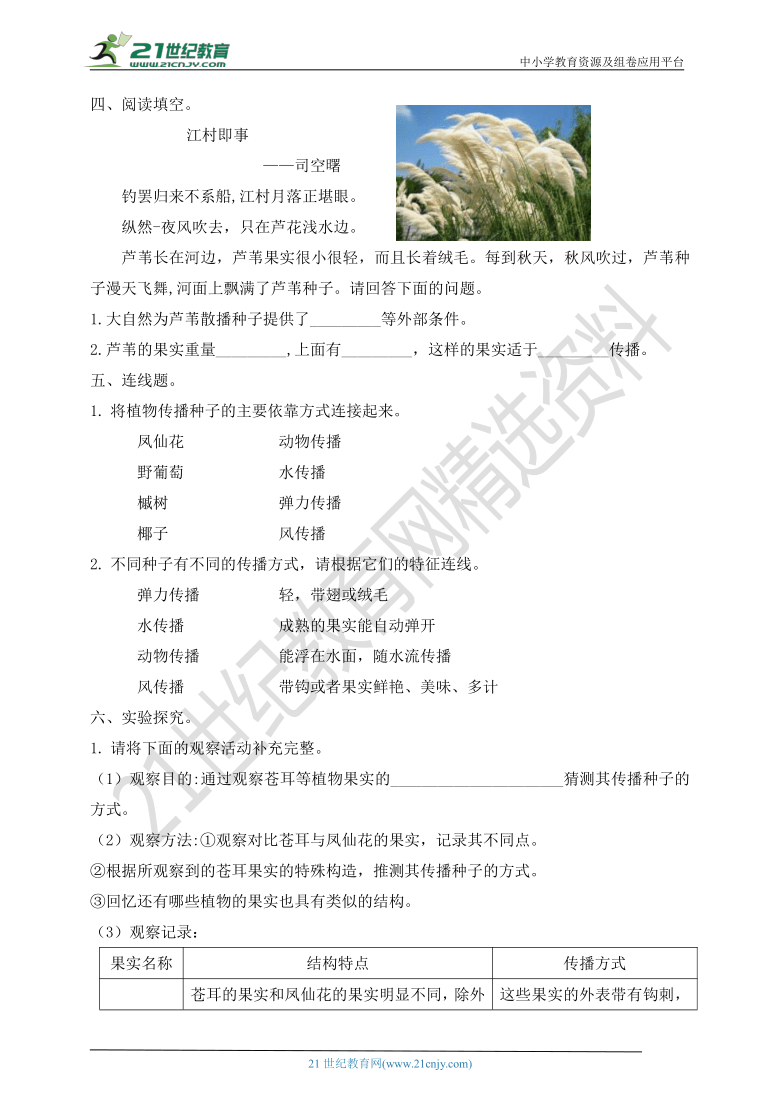 教科版四年级科学下 1.7 种子的传播 同步练习（含答案）