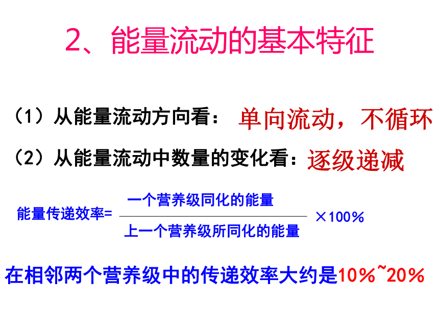 高中生物北师的版必修必修三第四章第1节生态系统是一个相对稳定的系统之二 生态系统中的能量流动(30张PPT)