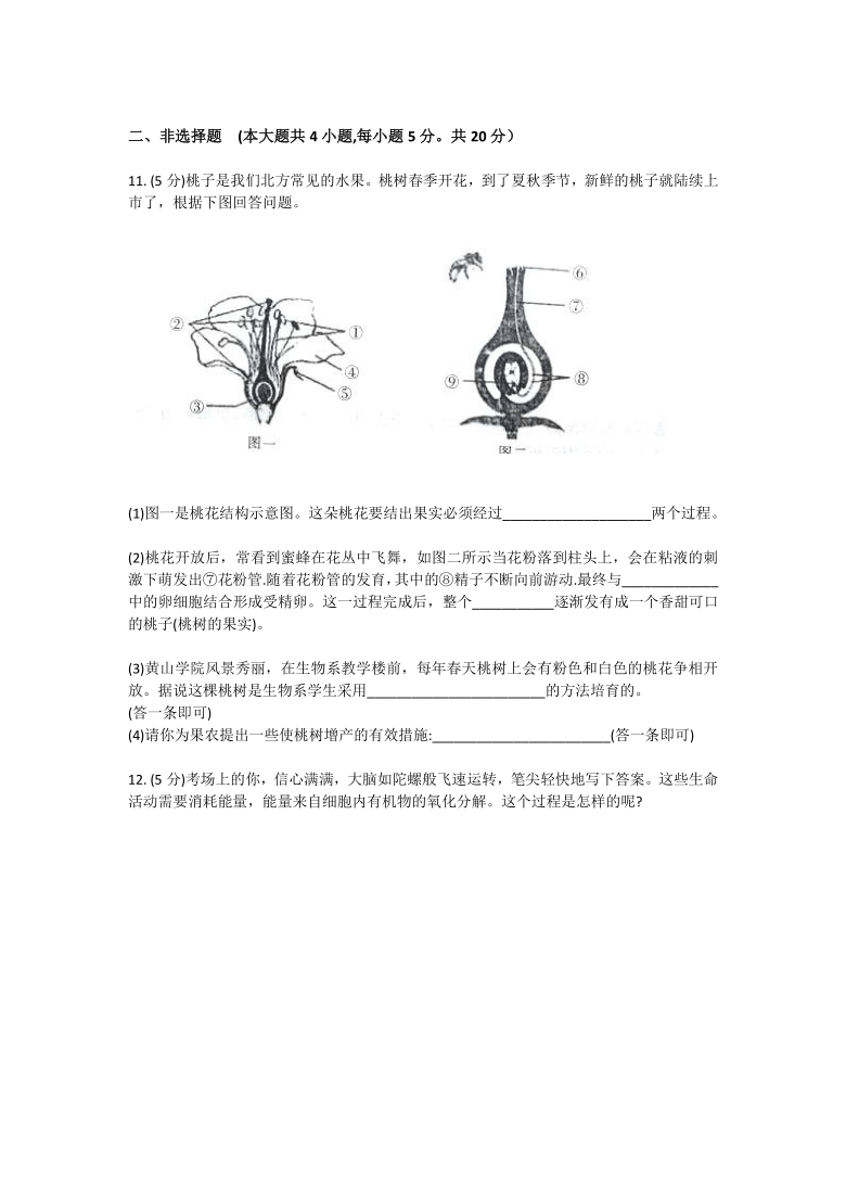 2021年安徽省中考生物模拟卷（word版 ）