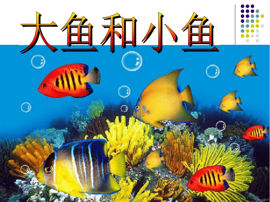 嶺南版7大魚和小魚課件34張ppt