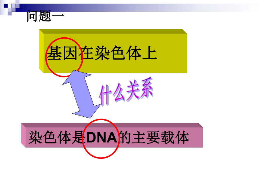 人教版高中生物必修二 3.4基因是有遗传效应的DNA片段 课件（28张ppt）