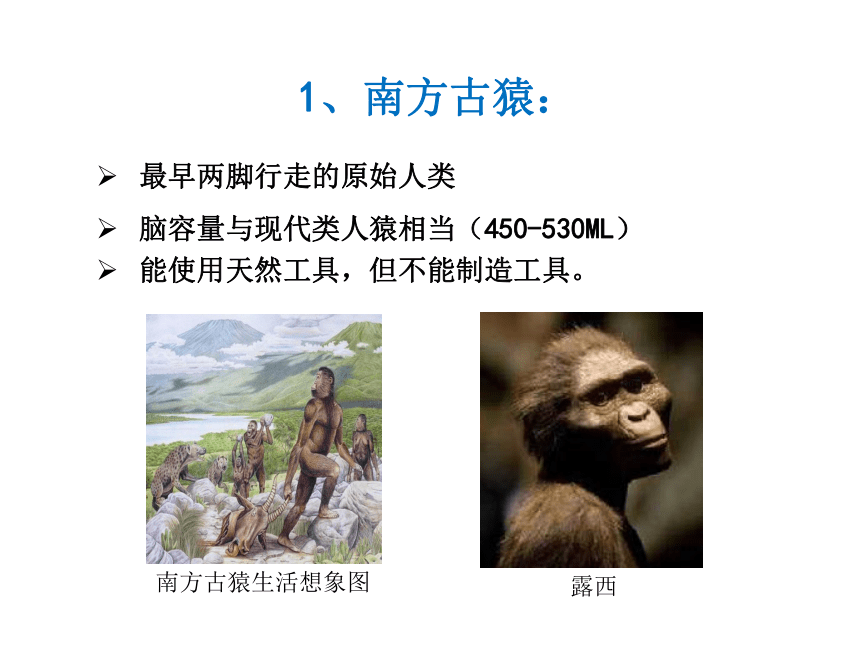 济南版生物八下5.2.2人类的进化 课件（22张ppt）