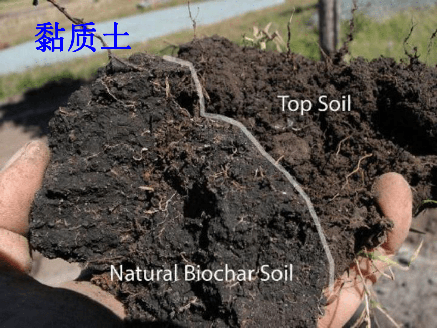 科学四年级下青岛版3.8土壤的种类课件（26张）