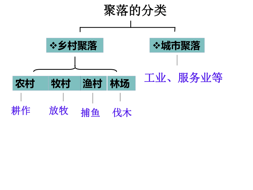 七上历史与社会期末复习（第一单元)    课件