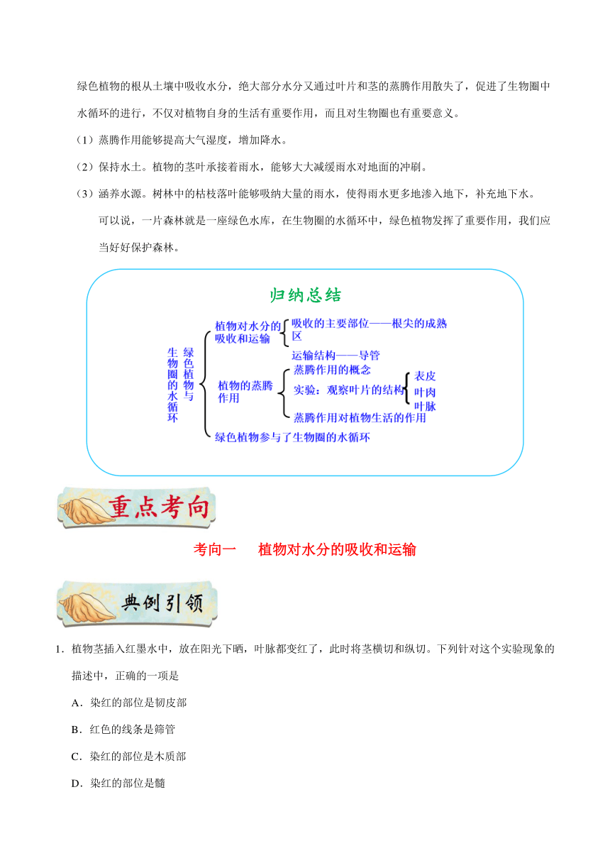 考点15 植物的蒸腾作用-备战2018年中考生物核心考点全突破