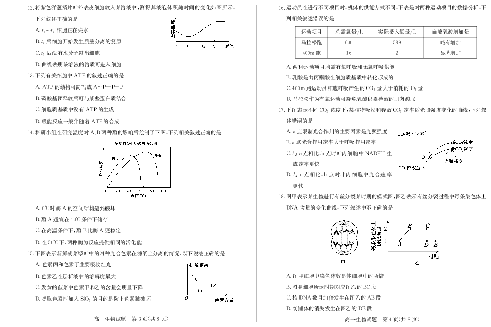 山东省德州市2019-2020学年度上学期期末试题高一生物（PDF版）