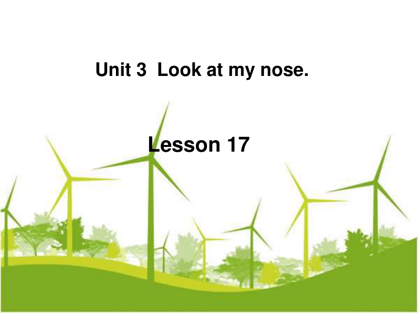 Unit 3 Look at my nose Lesson 17 课件
