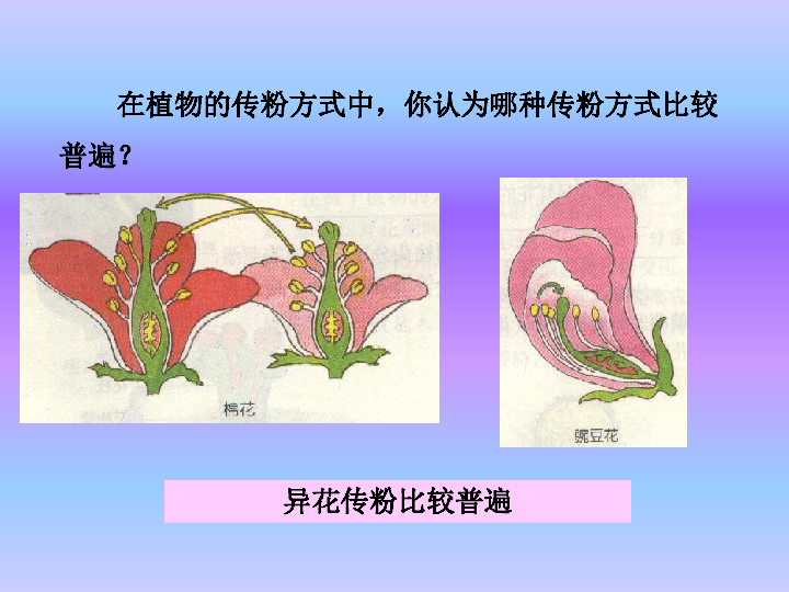 第5节 植物生殖方式的多样性（课件 36张ppt）