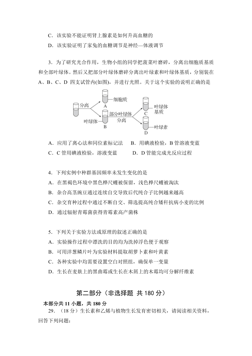 北京四中2016届高三第二学期开学考试理综生物试题