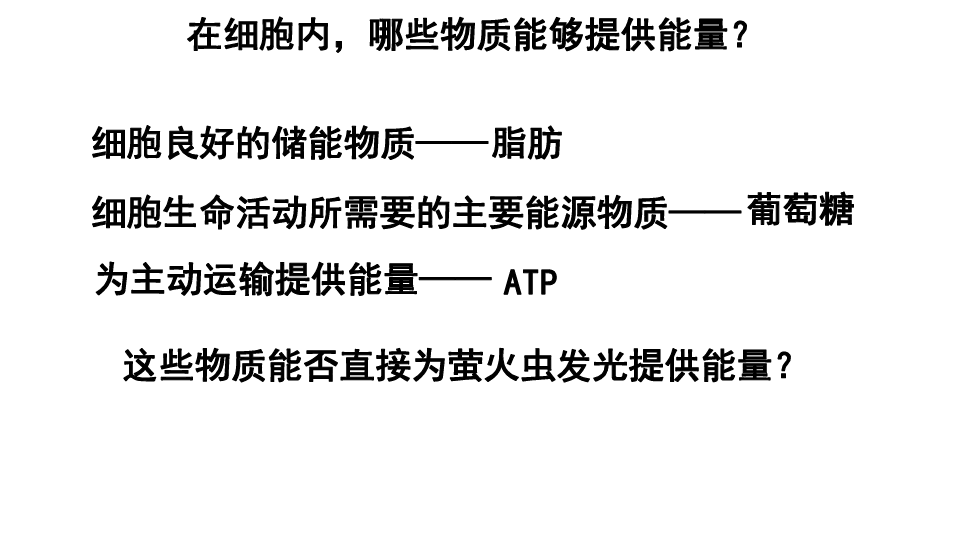 高中生物人教版必修一5-2细胞的能量通货-ATP 课件（共22张PPT）